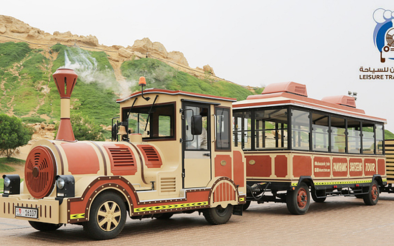 Mini Train